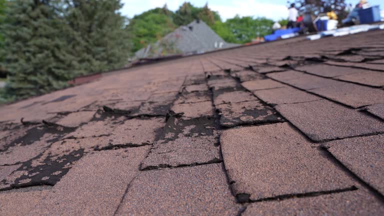 Best Emergency Roof Repair  in Peshtigo, WI