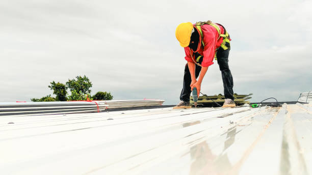Best Roof Coating and Sealing  in Peshtigo, WI