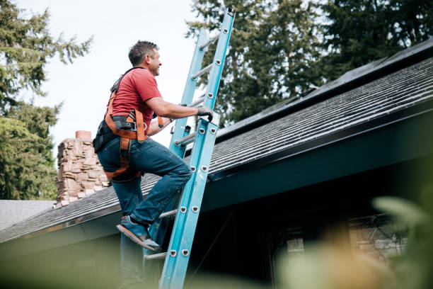 Best Gutter Replacement  in Peshtigo, WI