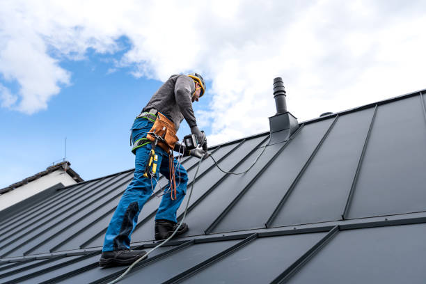 Best Roof Maintenance and Cleaning  in Peshtigo, WI