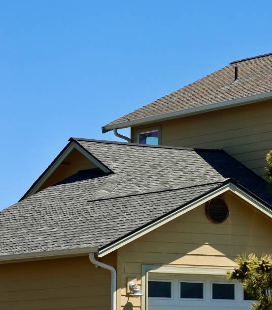 Best Steel Roofing  in Peshtigo, WI